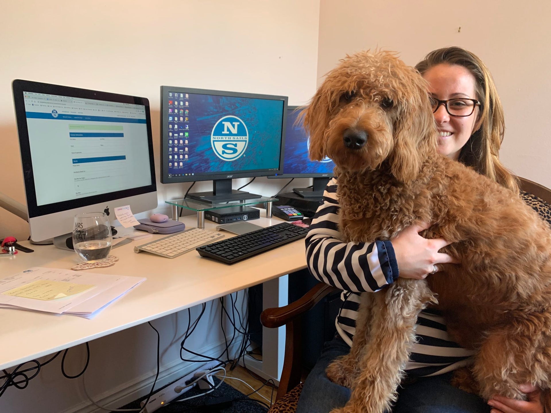 MEET OUR FURRY COWORKERS