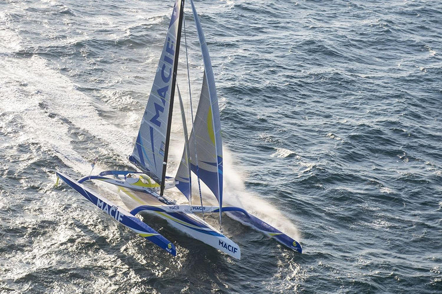 NORTH SAILS TOGETHER WITH MACIF