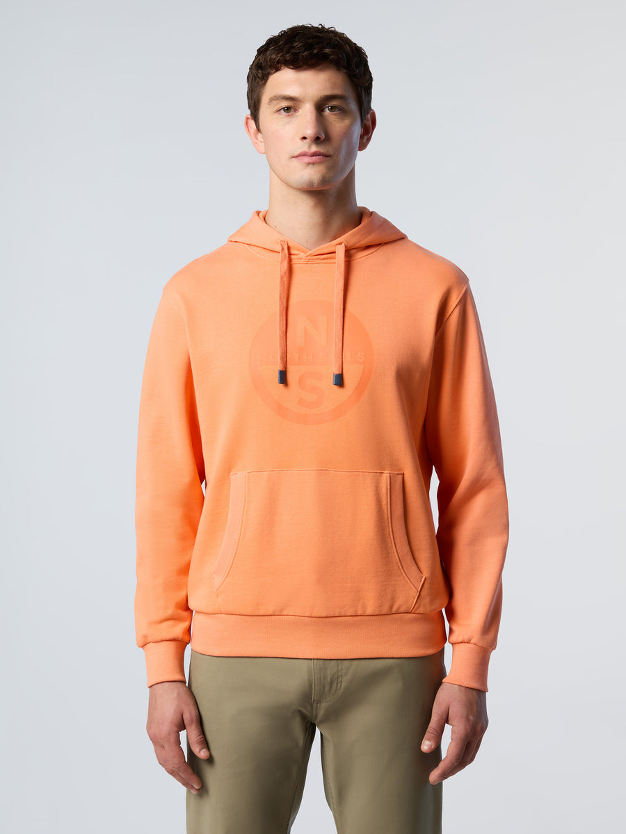 basic-hooded-sweatshirt-wlogo-691223