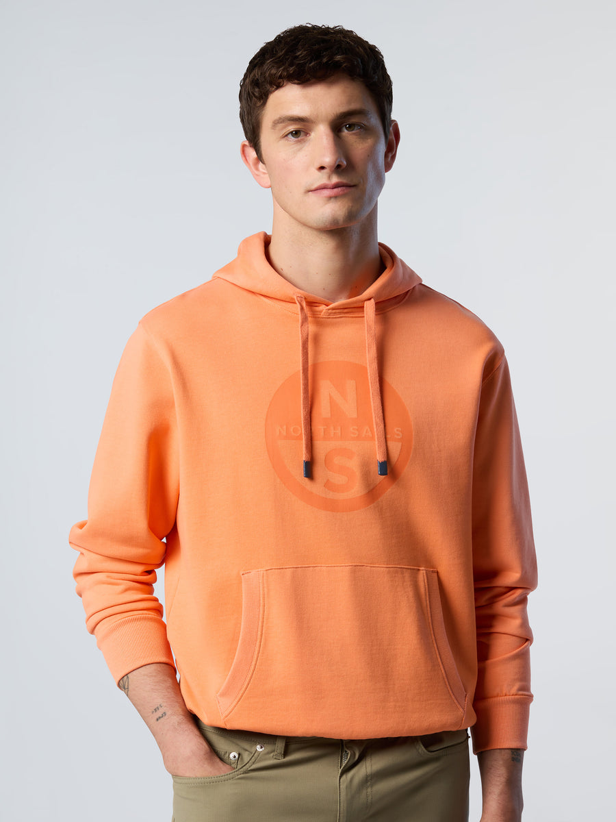 basic-hooded-sweatshirt-wlogo-691223