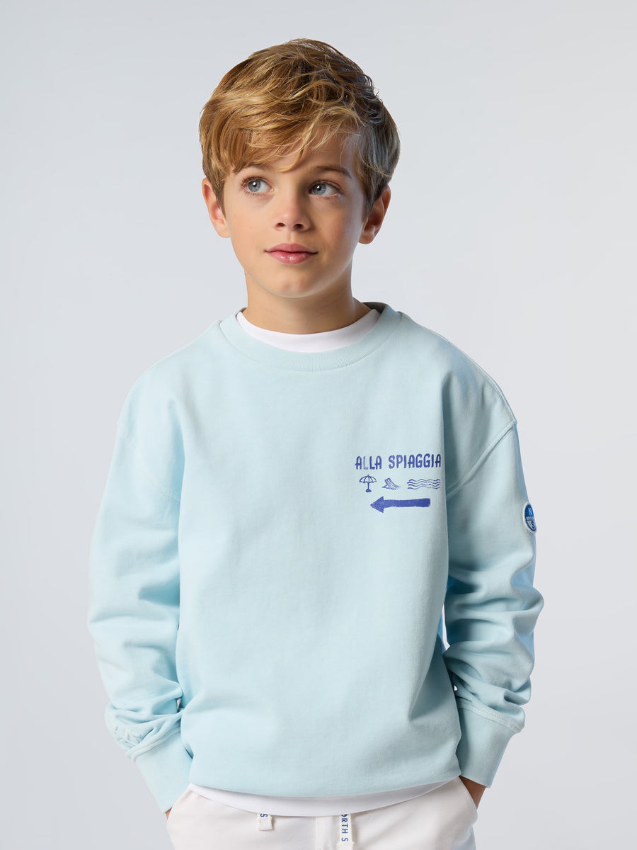 crewneck-sweatshirt-wgraphic-794425