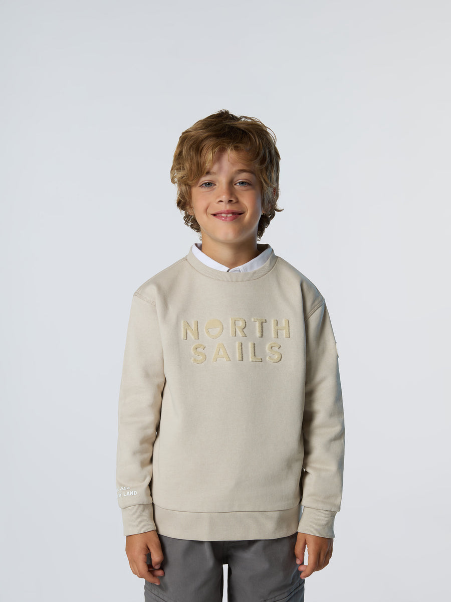 crewneck-sweatshirt-wgraphic-794479