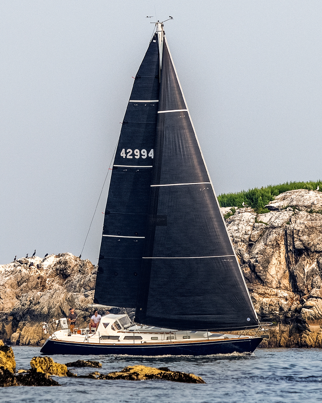5 | 3Di ENDURANCE / Black | North Sails Racing Mainsail 3Di ENDURANCE Black