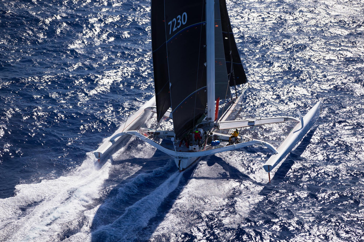 Mighty Merloe Sets Transpac Multihull Course Record