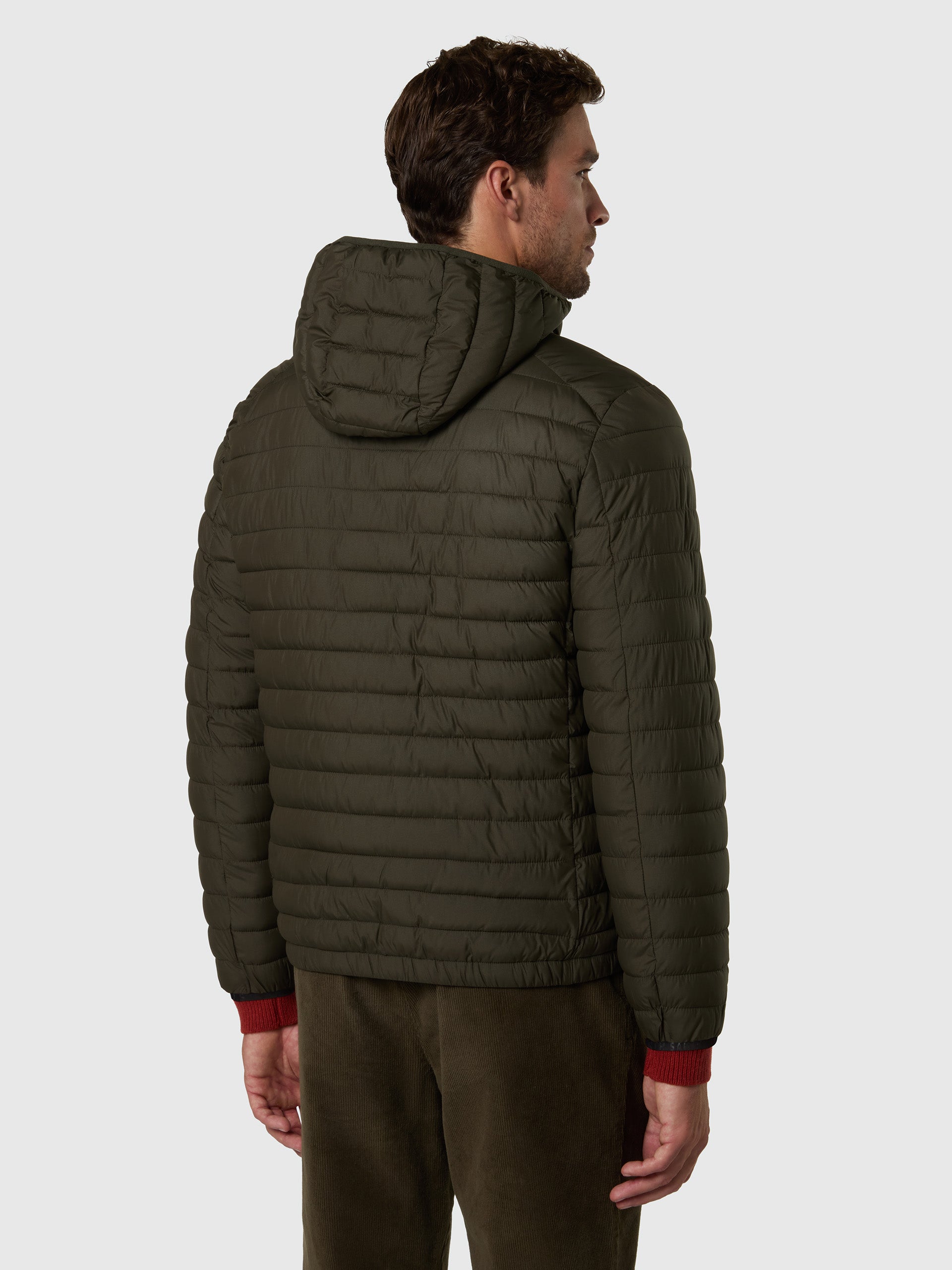 4 | Forest night | zephyr-jacket-603441