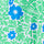 Combo 9 675046