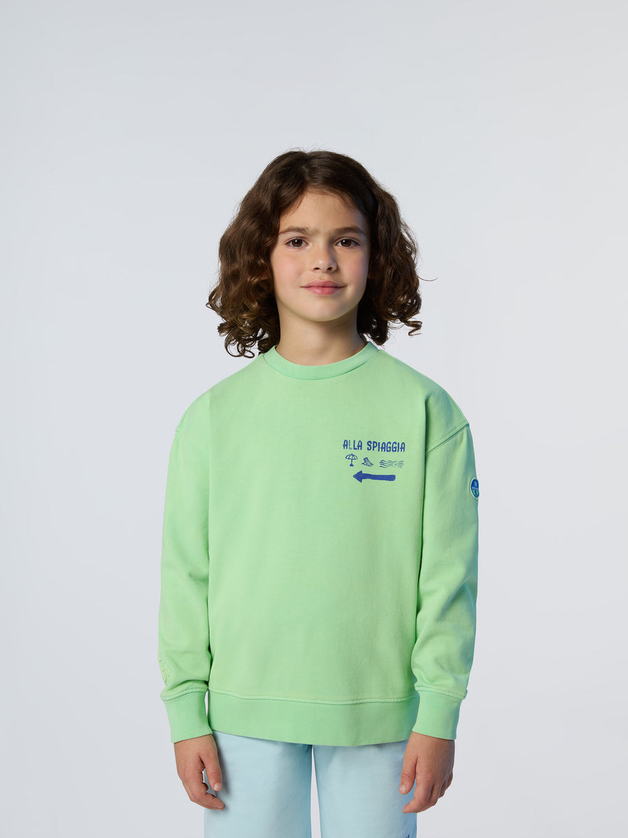 crewneck-sweatshirt-wgraphic-794425