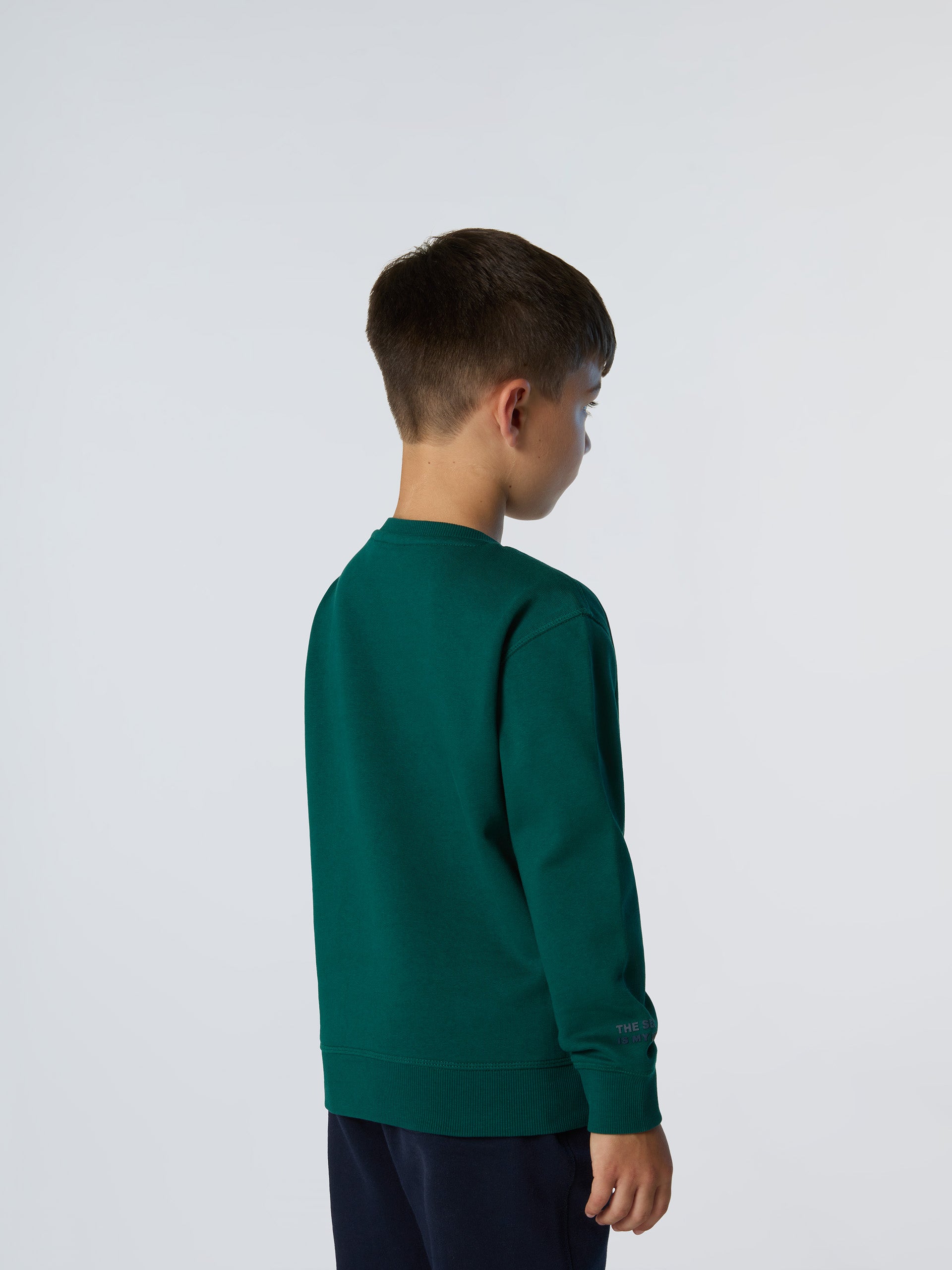 4 | Forest biome | crewneck-sweatshirt-wlogo-794477