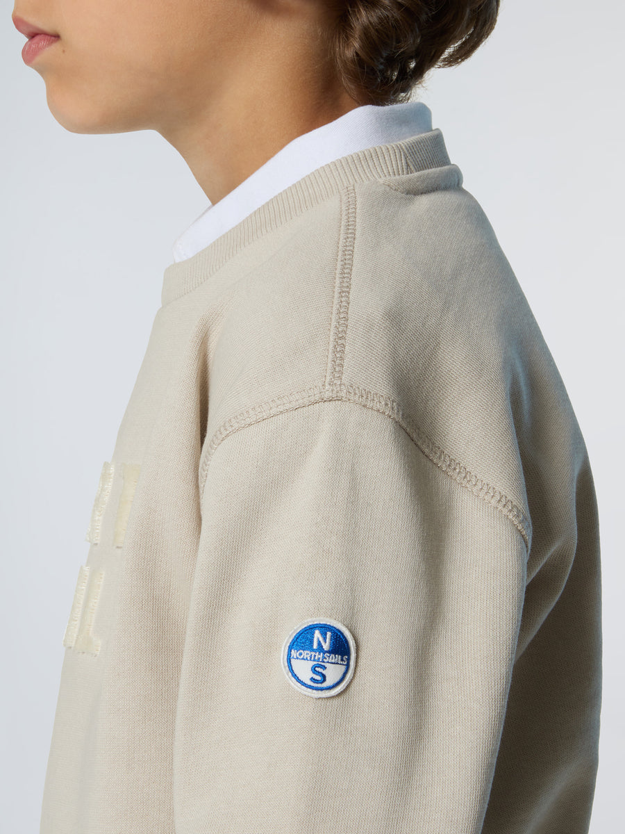 crewneck-sweatshirt-wgraphic-794479