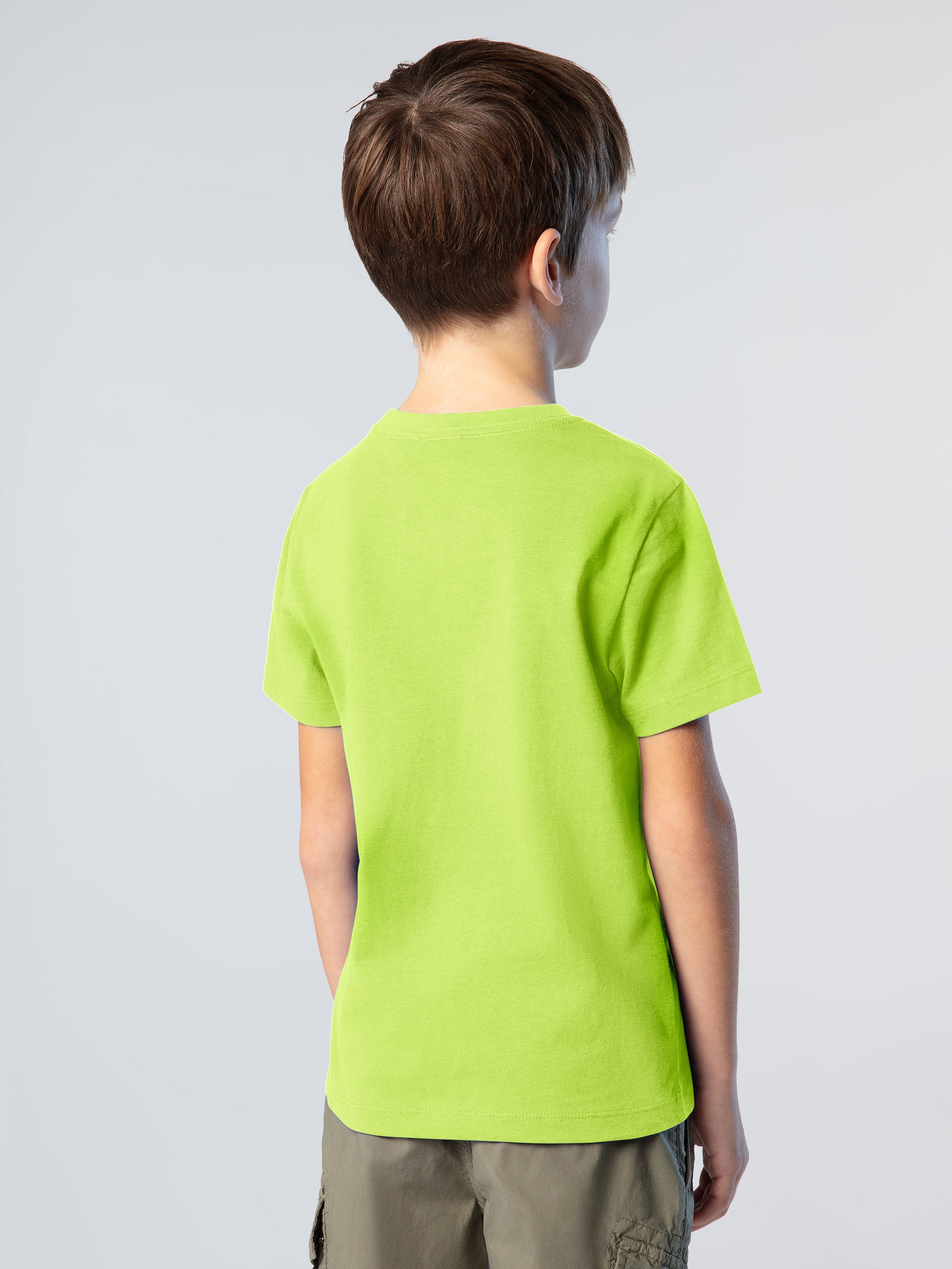 4 | Acid lime | 795046_0473_msback1