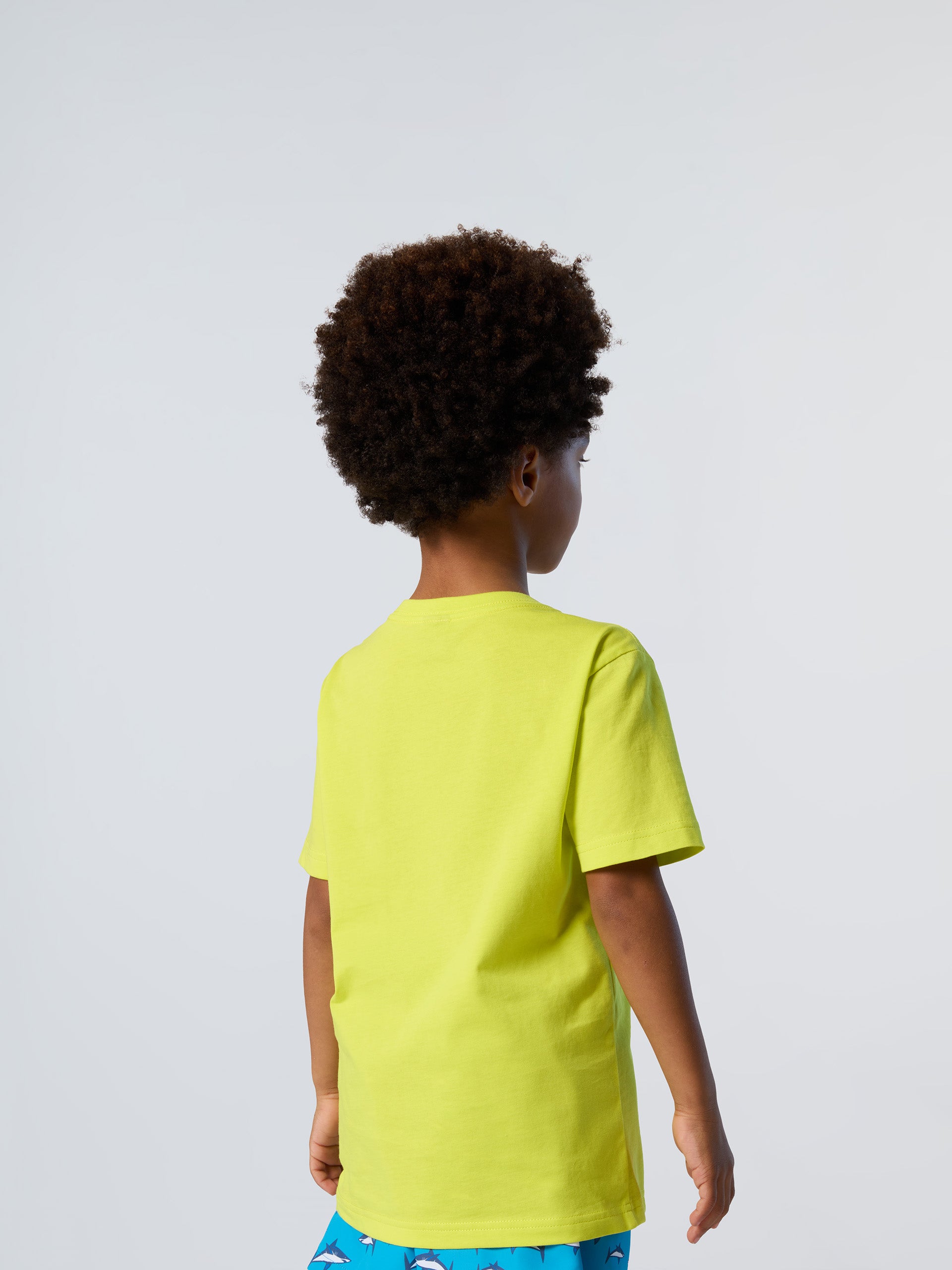 4 | Sulphur spring | t-shirt-short-sleeve-wgraphic-795210