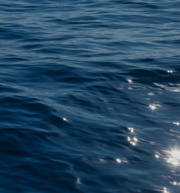 North Sails - BESTSELLERS ON SALE