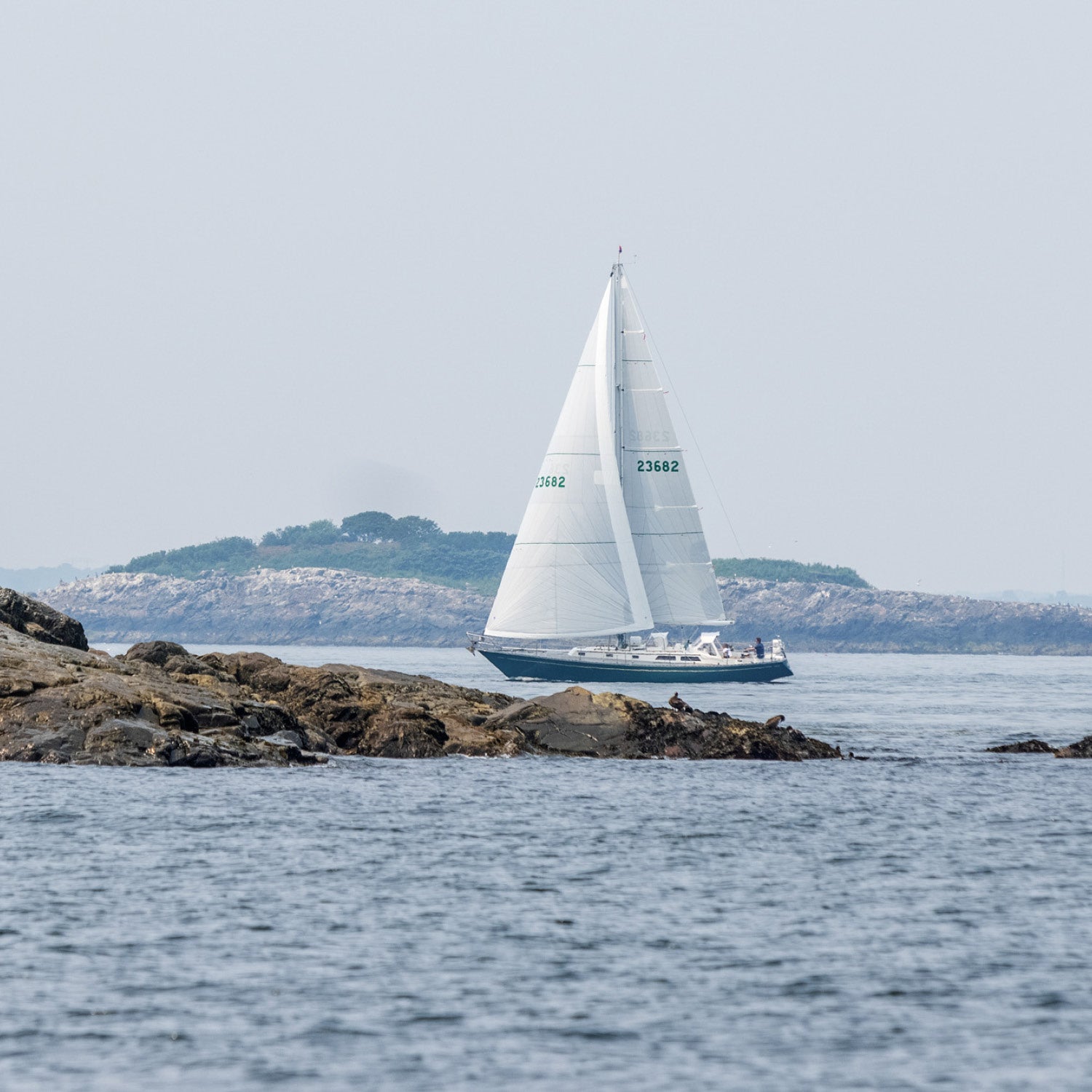 Sailcloth | North Sails | North Sails